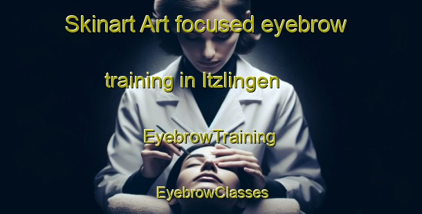 Skinart Art-focused eyebrow training in Itzlingen | EyebrowTraining | EyebrowClasses | SkinartTraining-Germany