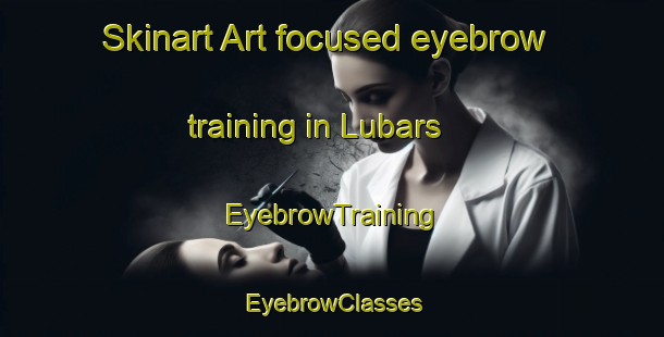 Skinart Art-focused eyebrow training in Lubars | EyebrowTraining | EyebrowClasses | SkinartTraining-Germany