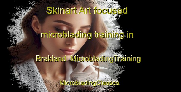 Skinart Art-focused microblading training in Brakland | MicrobladingTraining | MicrobladingClasses | SkinartTraining-Germany