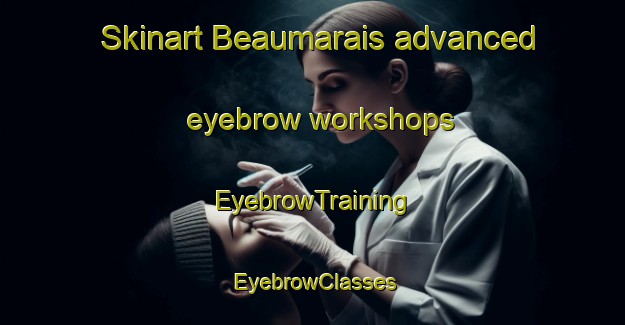 Skinart Beaumarais advanced eyebrow workshops | EyebrowTraining | EyebrowClasses | SkinartTraining-Germany