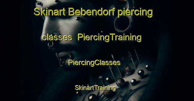 Skinart Bebendorf piercing classes | PiercingTraining | PiercingClasses | SkinartTraining-Germany