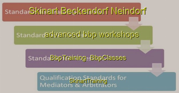 Skinart Beckendorf Neindorf advanced bbp workshops | BbpTraining | BbpClasses | SkinartTraining-Germany