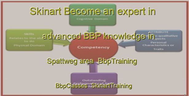 Skinart Become an expert in advanced BBP knowledge in Spattweg area | BbpTraining | BbpClasses | SkinartTraining-Germany