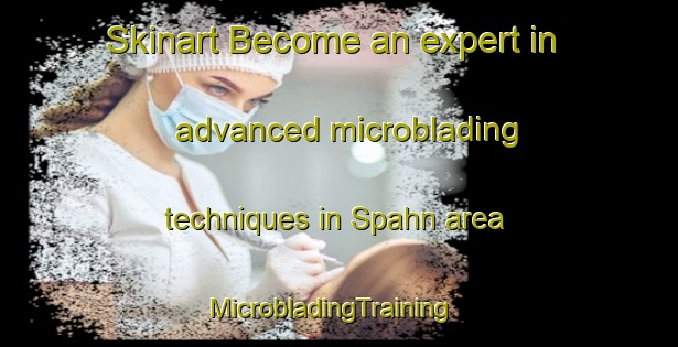 Skinart Become an expert in advanced microblading techniques in Spahn area | MicrobladingTraining | MicrobladingClasses | SkinartTraining-Germany