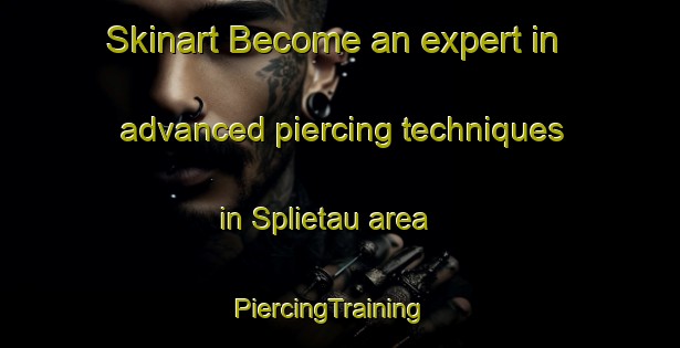 Skinart Become an expert in advanced piercing techniques in Splietau area | PiercingTraining | PiercingClasses | SkinartTraining-Germany
