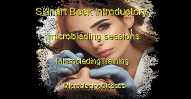 Skinart Beek introductory microblading sessions | MicrobladingTraining | MicrobladingClasses | SkinartTraining-Germany