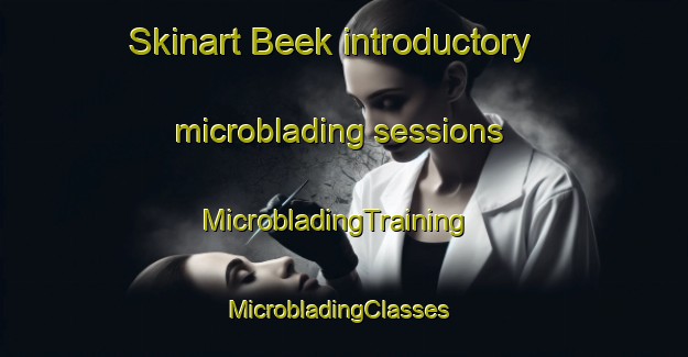 Skinart Beek introductory microblading sessions | MicrobladingTraining | MicrobladingClasses | SkinartTraining-Germany