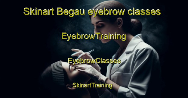 Skinart Begau eyebrow classes | EyebrowTraining | EyebrowClasses | SkinartTraining-Germany