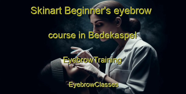 Skinart Beginner's eyebrow course in Bedekaspel | EyebrowTraining | EyebrowClasses | SkinartTraining-Germany
