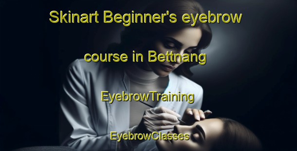 Skinart Beginner's eyebrow course in Bettnang | EyebrowTraining | EyebrowClasses | SkinartTraining-Germany