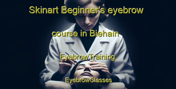 Skinart Beginner's eyebrow course in Biehain | EyebrowTraining | EyebrowClasses | SkinartTraining-Germany