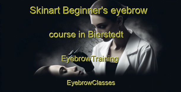 Skinart Beginner's eyebrow course in Bierstedt | EyebrowTraining | EyebrowClasses | SkinartTraining-Germany