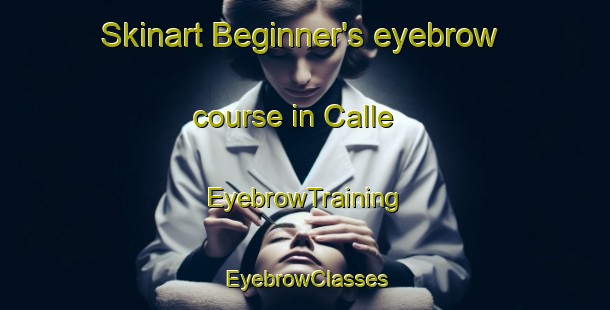 Skinart Beginner's eyebrow course in Calle | EyebrowTraining | EyebrowClasses | SkinartTraining-Germany