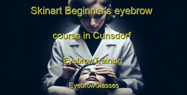 Skinart Beginner's eyebrow course in Cunsdorf | EyebrowTraining | EyebrowClasses | SkinartTraining-Germany