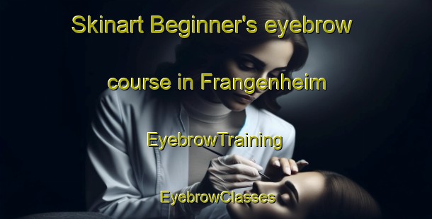 Skinart Beginner's eyebrow course in Frangenheim | EyebrowTraining | EyebrowClasses | SkinartTraining-Germany