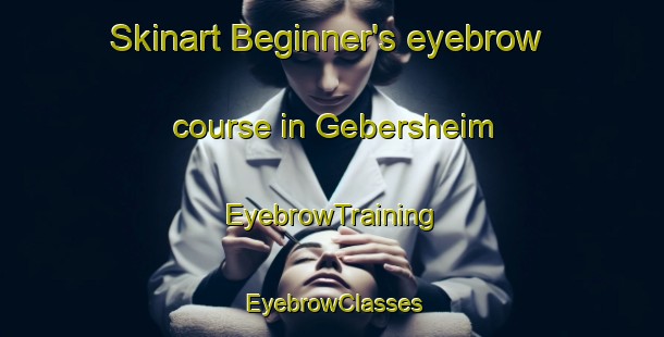 Skinart Beginner's eyebrow course in Gebersheim | EyebrowTraining | EyebrowClasses | SkinartTraining-Germany