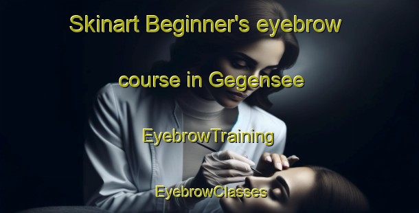 Skinart Beginner's eyebrow course in Gegensee | EyebrowTraining | EyebrowClasses | SkinartTraining-Germany