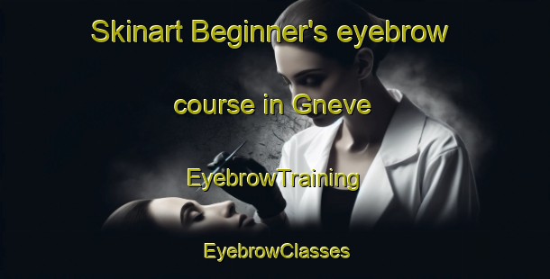 Skinart Beginner's eyebrow course in Gneve | EyebrowTraining | EyebrowClasses | SkinartTraining-Germany
