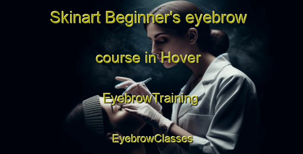 Skinart Beginner's eyebrow course in Hover | EyebrowTraining | EyebrowClasses | SkinartTraining-Germany