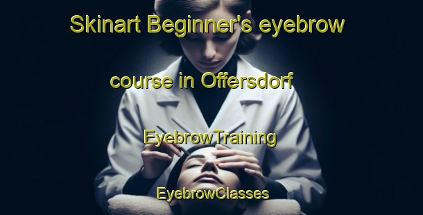 Skinart Beginner's eyebrow course in Offersdorf | EyebrowTraining | EyebrowClasses | SkinartTraining-Germany