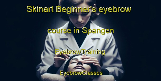 Skinart Beginner's eyebrow course in Spangen | EyebrowTraining | EyebrowClasses | SkinartTraining-Germany