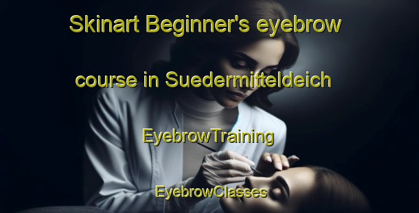 Skinart Beginner's eyebrow course in Suedermitteldeich | EyebrowTraining | EyebrowClasses | SkinartTraining-Germany