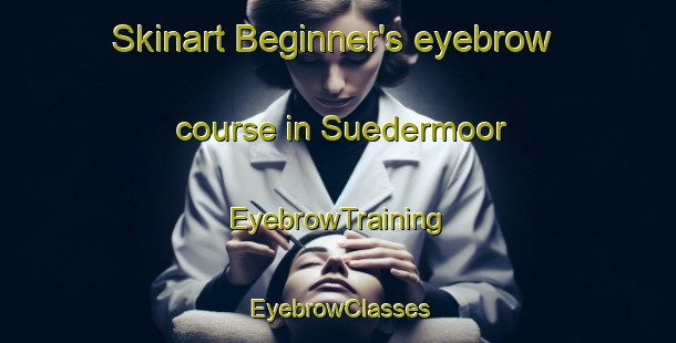 Skinart Beginner's eyebrow course in Suedermoor | EyebrowTraining | EyebrowClasses | SkinartTraining-Germany