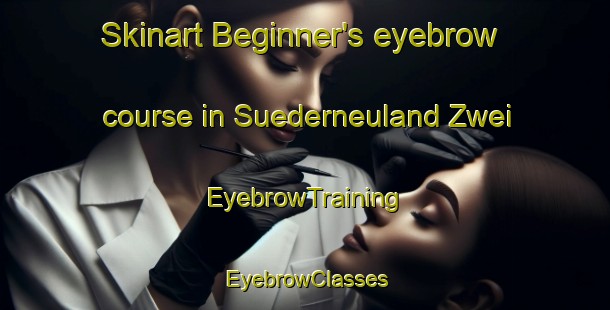 Skinart Beginner's eyebrow course in Suederneuland Zwei | EyebrowTraining | EyebrowClasses | SkinartTraining-Germany