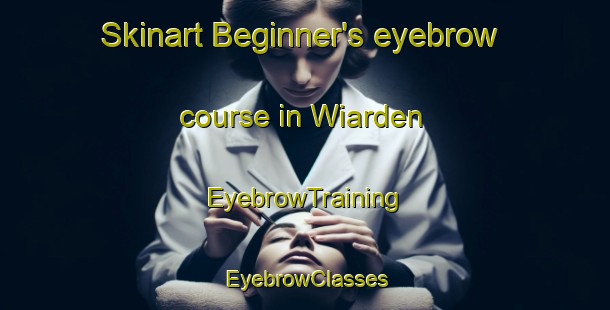 Skinart Beginner's eyebrow course in Wiarden | EyebrowTraining | EyebrowClasses | SkinartTraining-Germany