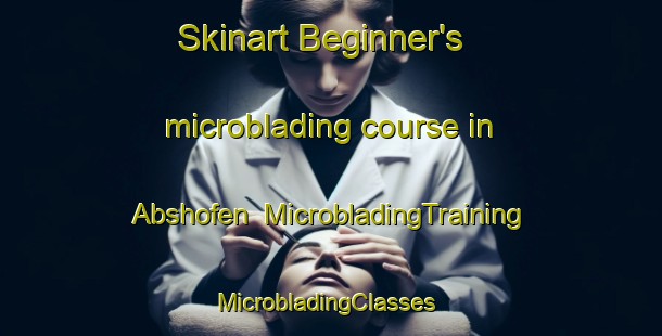 Skinart Beginner's microblading course in Abshofen | MicrobladingTraining | MicrobladingClasses | SkinartTraining-Germany