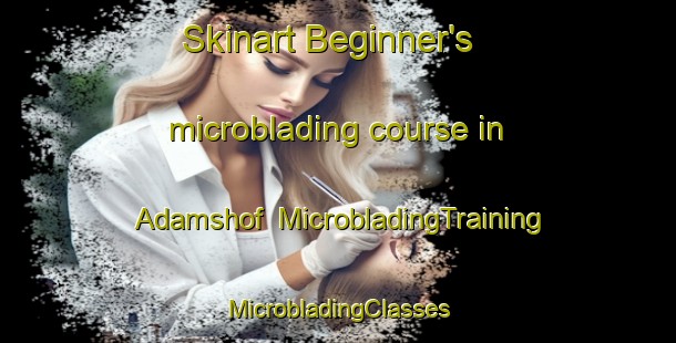 Skinart Beginner's microblading course in Adamshof | #MicrobladingTraining #MicrobladingClasses #SkinartTraining-Germany