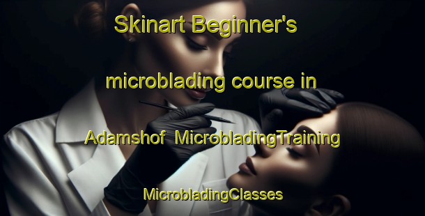 Skinart Beginner's microblading course in Adamshof | #MicrobladingTraining #MicrobladingClasses #SkinartTraining-Germany