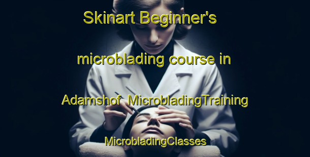 Skinart Beginner's microblading course in Adamshof | #MicrobladingTraining #MicrobladingClasses #SkinartTraining-Germany