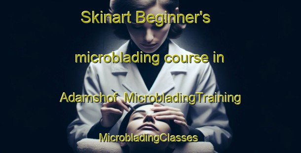 Skinart Beginner's microblading course in Adamshof | MicrobladingTraining | MicrobladingClasses | SkinartTraining-Germany