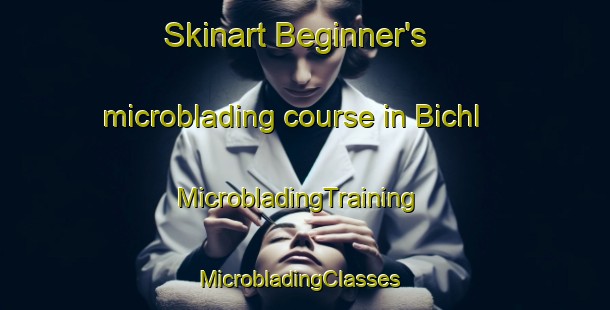 Skinart Beginner's microblading course in Bichl | MicrobladingTraining | MicrobladingClasses | SkinartTraining-Germany