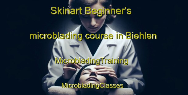 Skinart Beginner's microblading course in Biehlen | MicrobladingTraining | MicrobladingClasses | SkinartTraining-Germany