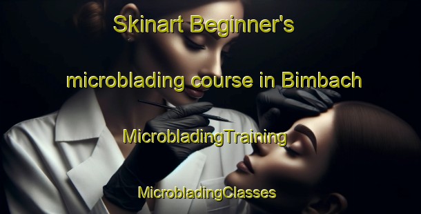 Skinart Beginner's microblading course in Bimbach | MicrobladingTraining | MicrobladingClasses | SkinartTraining-Germany