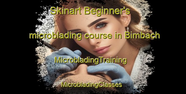 Skinart Beginner's microblading course in Bimbach | MicrobladingTraining | MicrobladingClasses | SkinartTraining-Germany