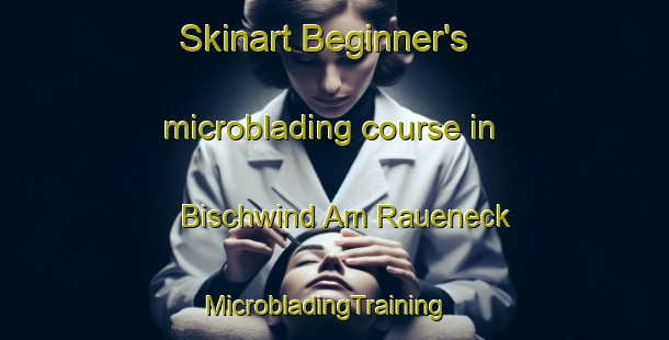 Skinart Beginner's microblading course in Bischwind Am Raueneck | MicrobladingTraining | MicrobladingClasses | SkinartTraining-Germany