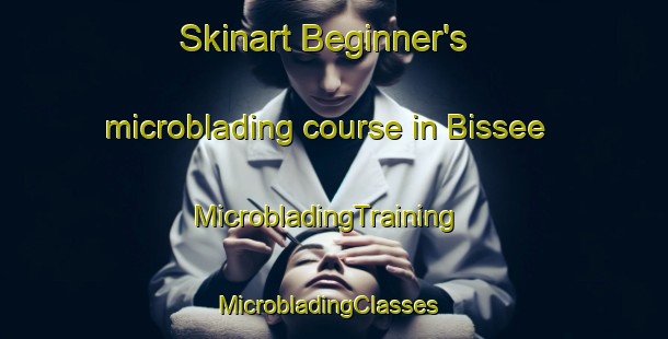 Skinart Beginner's microblading course in Bissee | MicrobladingTraining | MicrobladingClasses | SkinartTraining-Germany