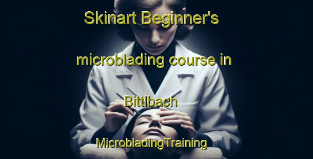 Skinart Beginner's microblading course in Bittlbach | MicrobladingTraining | MicrobladingClasses | SkinartTraining-Germany