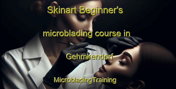 Skinart Beginner's microblading course in Gehmkendorf | MicrobladingTraining | MicrobladingClasses | SkinartTraining-Germany