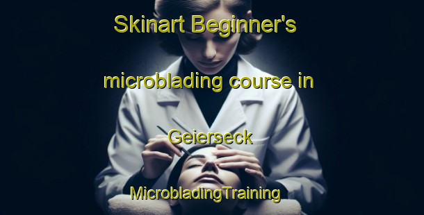 Skinart Beginner's microblading course in Geierseck | MicrobladingTraining | MicrobladingClasses | SkinartTraining-Germany