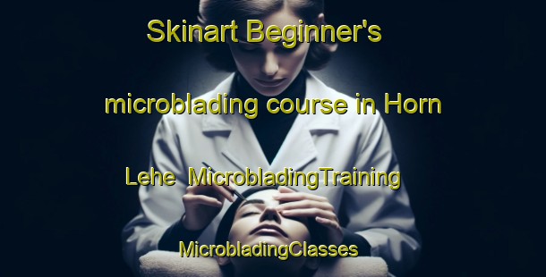 Skinart Beginner's microblading course in Horn Lehe | MicrobladingTraining | MicrobladingClasses | SkinartTraining-Germany
