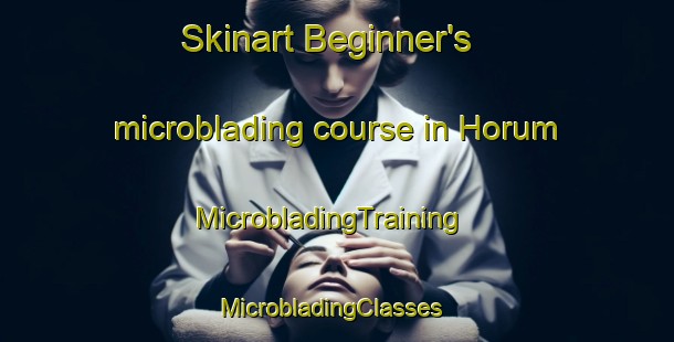 Skinart Beginner's microblading course in Horum | MicrobladingTraining | MicrobladingClasses | SkinartTraining-Germany