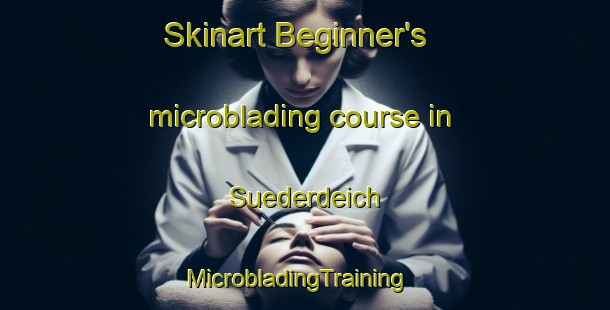 Skinart Beginner's microblading course in Suederdeich | MicrobladingTraining | MicrobladingClasses | SkinartTraining-Germany