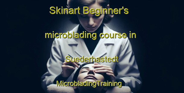 Skinart Beginner's microblading course in Suederhastedt | MicrobladingTraining | MicrobladingClasses | SkinartTraining-Germany