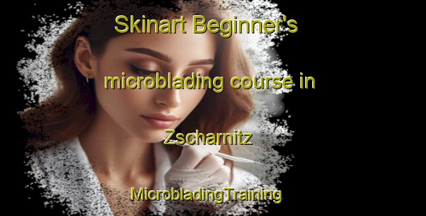 Skinart Beginner's microblading course in Zscharnitz | MicrobladingTraining | MicrobladingClasses | SkinartTraining-Germany