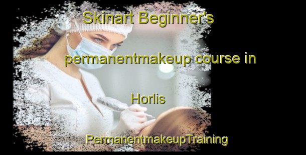 Skinart Beginner's permanentmakeup course in Horlis | PermanentmakeupTraining | PermanentmakeupClasses | SkinartTraining-Germany