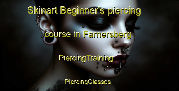 Skinart Beginner's piercing course in Farnersberg | PiercingTraining | PiercingClasses | SkinartTraining-Germany